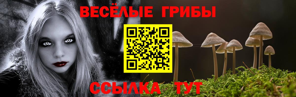 Галлюциногенные грибы ЛСД  Вход с VPN  как найти   Йошкар-Ола  Галлюциногенные грибы мицелий 